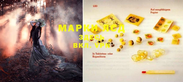 прущая мука Горняк